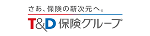 TDホールディングス